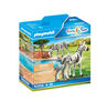 Playmobil Family Fun - Zebras with Foal