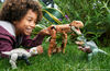 Jurassic World Transforming Dinosaur Toys, Massive Stretch Fierce Changers