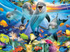 Howard Robinson - Playful Dolphin 500 pièces - Casse-tête Super 3D