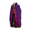 Frozen - Anna Travel Dress