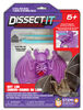 Chauve-souris au labo Dissect-It