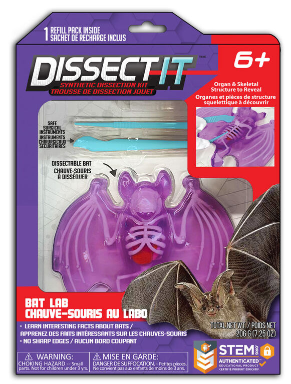 Dissect It - Bat