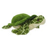 ALEX - Tortue de mer 7"