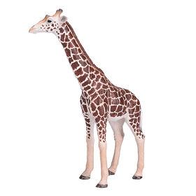 ALEX - Giraffe Male - Extra Large