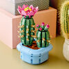 LEGO Botanicals Flowering Cactus Building Toy for Girls & Boys, Ages 9+ Room Decor for Kids - 11509