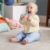 Fisher Price Shake & Spin Axolotl Rattle Baby Toy with Fine Motor Activity for Newborns