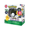Pokemon Trainer Guess Hoenn - English Edition