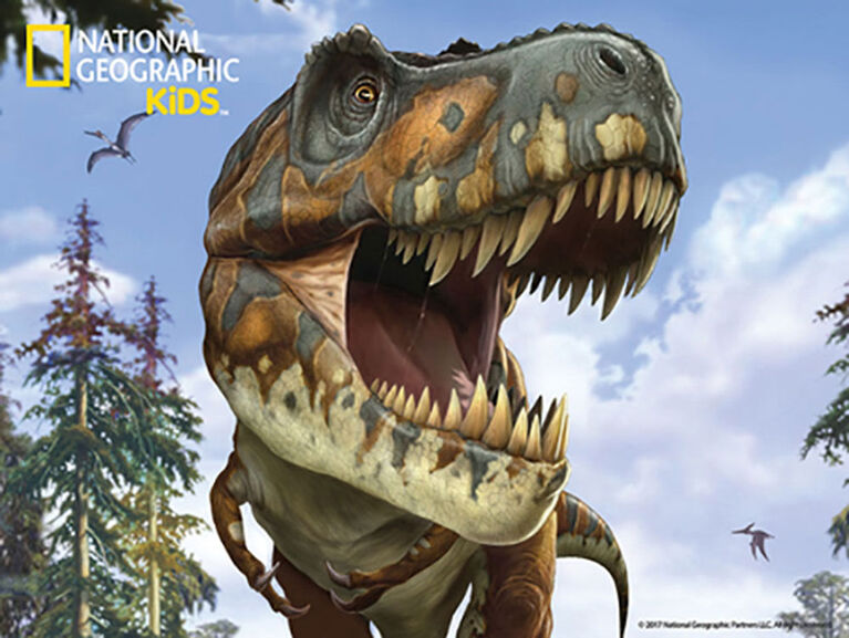 Casse-t&ecirc;te 3D National Geographic  Tyrannosaurus 100 pc