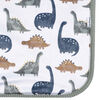 Gerber Childrenswear - 2ply Plush Blanket - Dino Time