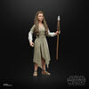 Star WarsThe Black Series, Princess Leia (Ewok Village), figurine