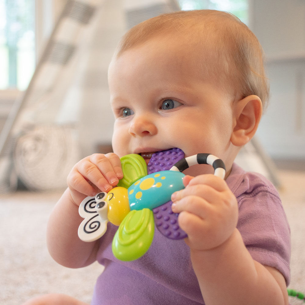 sassy flutterby teether