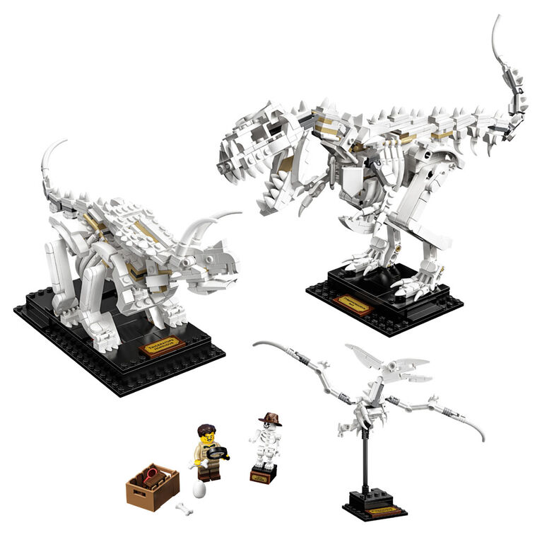 LEGO Ideas Les fossiles de dinosaures 21320 (910 pièces)