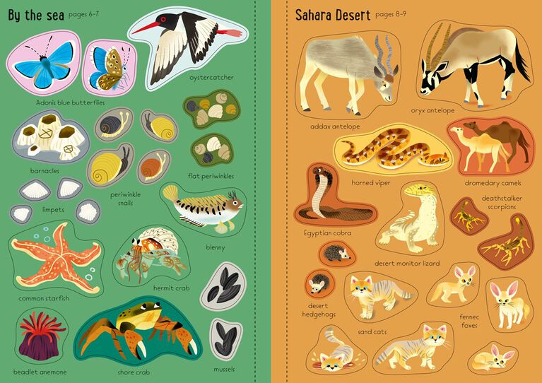 Little First Stickers Nature - English Edition
