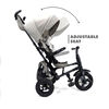 Rito Plus Folding Stroller /Trike Grey