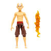 Avatar The Last Airbender - Aang: Book Three: Fire