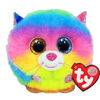 GIZMO - cat rainbow typuf