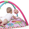 Charming Chirps Activity Gym