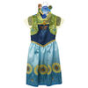 Frozen Dress - Style May Vary