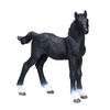 ALEX - Hanoverian Foal Black - Medium