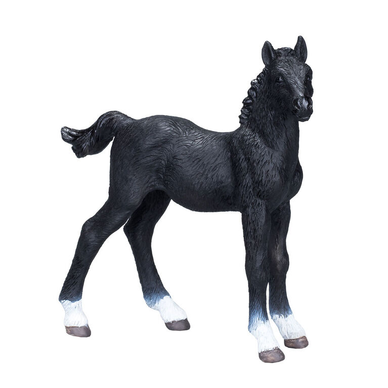 ALEX - Hanoverian Foal Black - Medium