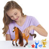 Sounds and Action Horse - Competition Set
