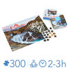 300 Piece Calm Jigsaw Puzzle for Relaxation, Stress Relief, and Mood Elevation, for Adults and Kids Ages 8 and up, Arroyo del Salto