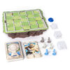 Santorini - Strategy-Based Board Game - styles may vary