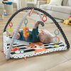 Fisher-Price 3-in-1 Music, Glow and Grow Gym