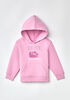 Northern Reflections Iconic Loon Hoodie Pink