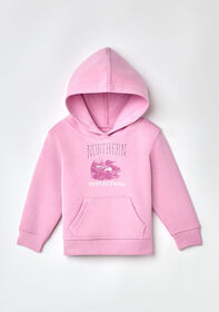 Northern Reflections Iconic Loon Hoodie Pink