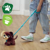 FRR Walkalots Big Wags - Chiot