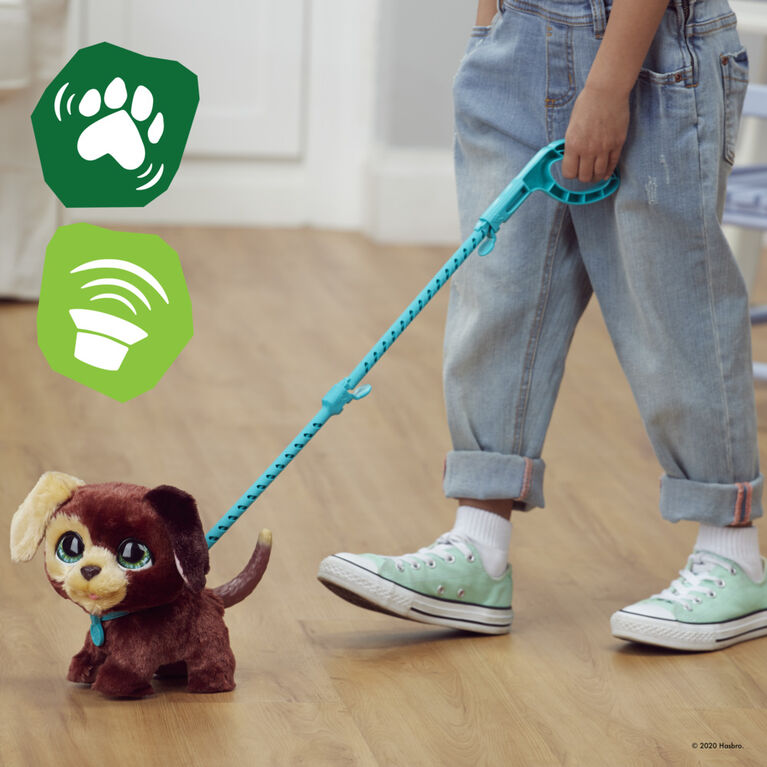 FRR Walkalots Big Wags - Chiot