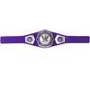 WWE Cruiserweight Championship Title Belt - English Edition