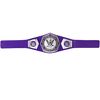 WWE Cruiserweight Championship Title Belt