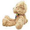 Ourson Starlight 2023