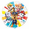 Paw Patrol Round Foil 18"
