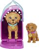 Barbie Nouvelle adoption-Coffret poupée, 2chiots, changement couleur