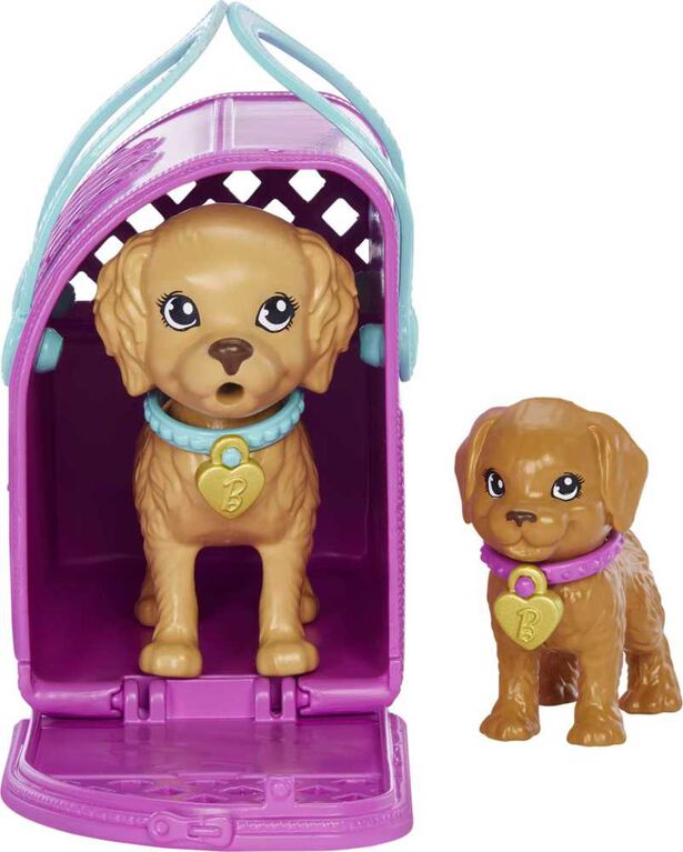 Barbie Nouvelle adoption-Coffret poupée, 2chiots, changement couleur