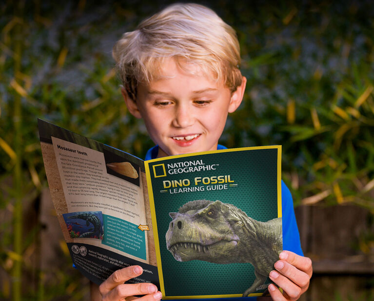 National Geographic Dino Fossil Dig Kit