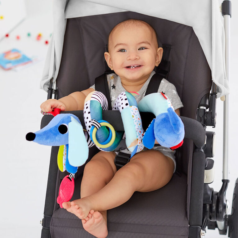 Skip Hop Vibrant Village Musical Spiral Toy Dog Babies R Us Canada