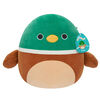 Squishmallows 12" - Avery Mallard Duck
