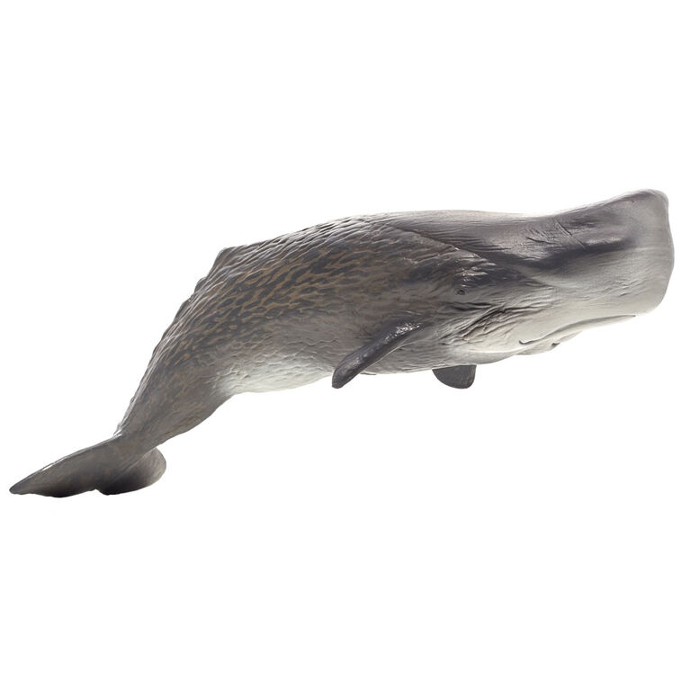 ALEX - Sperm Whale - Deluxe