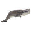 ALEX - Sperm Whale - Deluxe