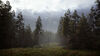 Xbox One - Hunting Simulator 2