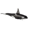 ALEX - Male Orca - Extra Large
