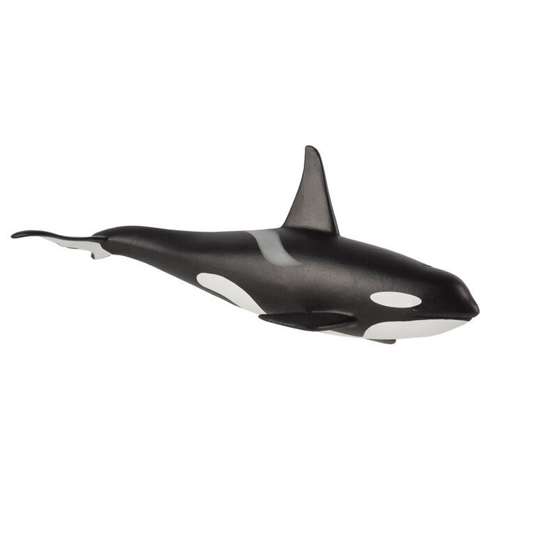 ALEX - Male Orca - Extra Large