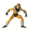 Marvel Legends Series X-Men Sabretooth Action Figure 6-Inch Collectible Toy