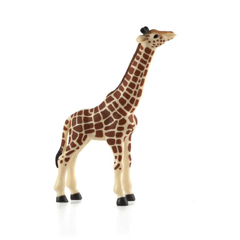 ALEX - Giraffe Calf - Large