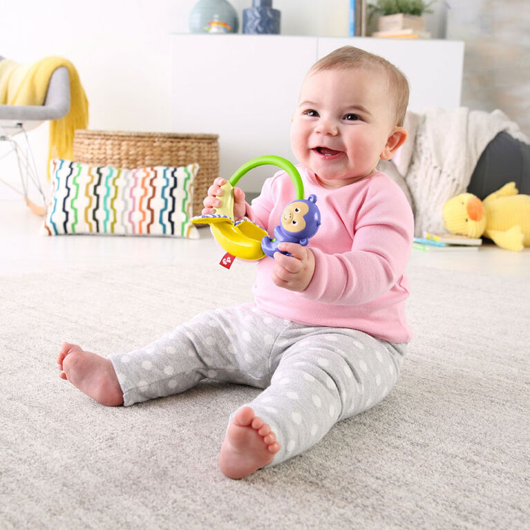 FisherPrice Slide & Crinkle Monkey Babies R Us Canada