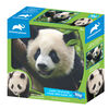 Animal Planet - Giant Panda– 100 Piece 3D Puzzle - R Exclusive